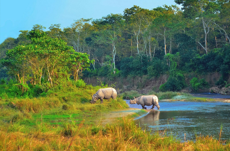 chitwan-national-park-a-close-encounter-with-wild-nepal