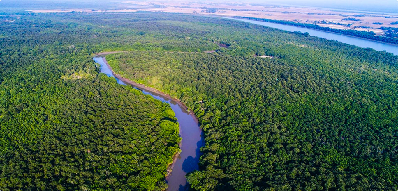 cruising-the-waters-of-the-extraordinary-bhitarkanika-national-park