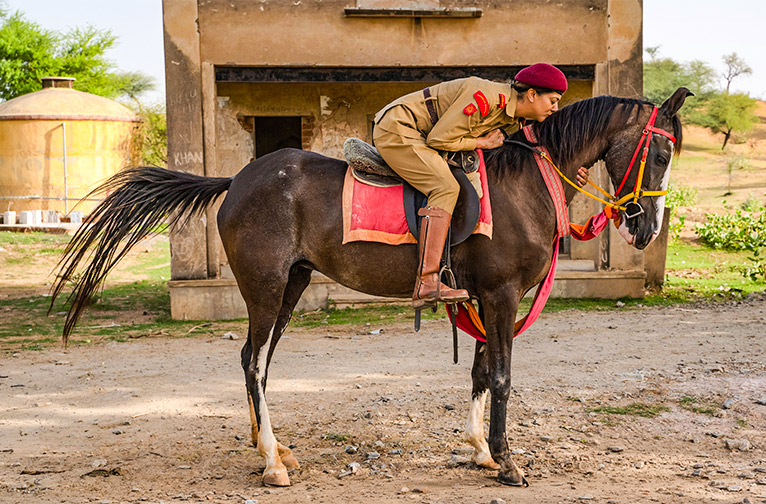 in-the-year-of-the-horse-rajasthan-s-marwari-horse-shines-bright