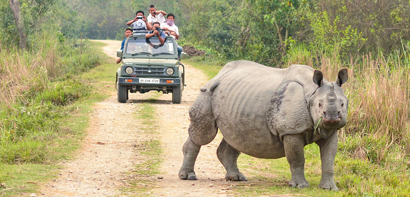 kaziranga-national-park-a-beautiful-eco-conscious-experience