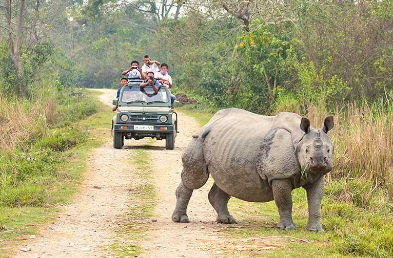 kaziranga-national-park-a-beautiful-eco-conscious-experience