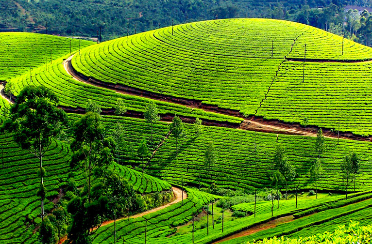 south-india-stories-rickshaw-village-walks-handicraft-trails-and-cultural-immersion