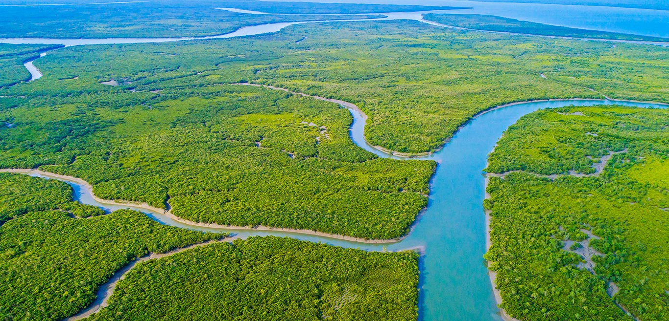 sunderban-national-park-a-riverine-chronicle