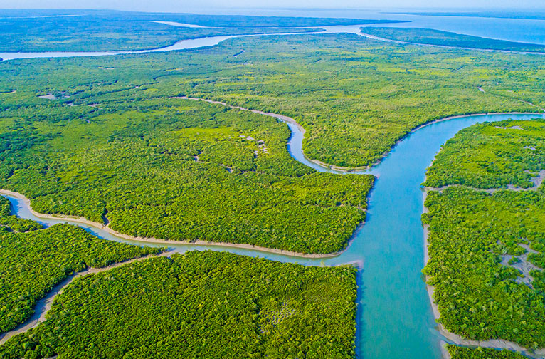 sunderban-national-park-a-riverine-chronicle