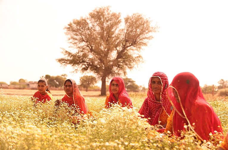 the-impactful-projects-of-distinct-steps-foundation